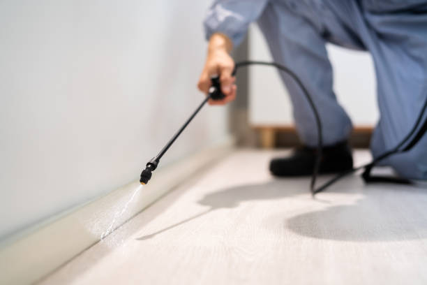Professional exterminator conducting IPM assessment in Lumber City